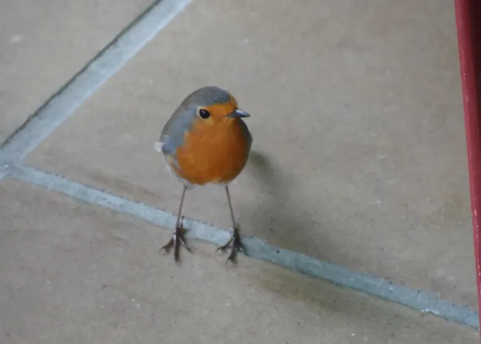 La Quintaesencia מלון La Pereda de Llanes