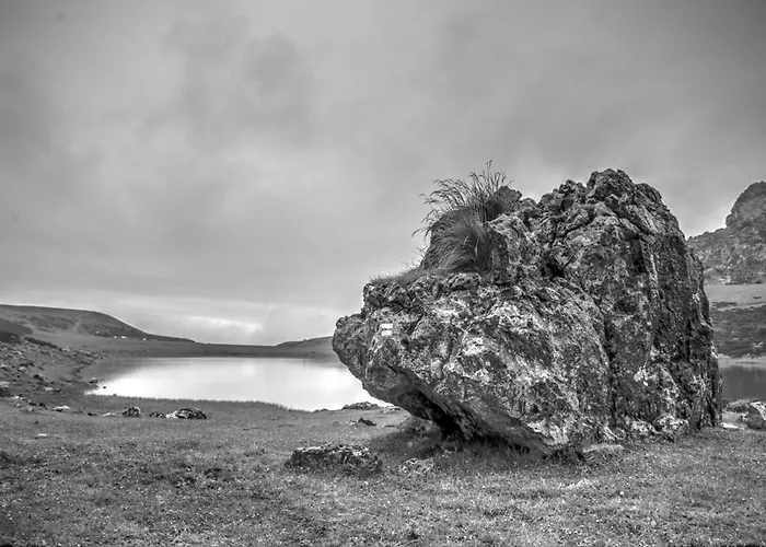 La Quintaesencia מלון 2*