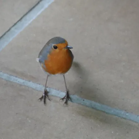 La Quintaesencia Otel La Pereda de Llanes